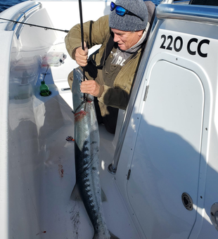 Great Barracuda on deck!